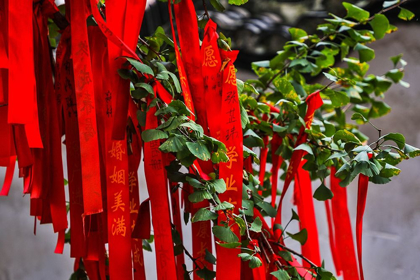 Picture of ASIA-CHINA-ZHUJIAJIAO (VENICE OF THE EAST)-RED RIBBONS OF WISH TO A HIGHER POWER