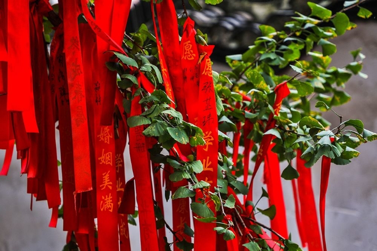 Picture of ASIA-CHINA-ZHUJIAJIAO (VENICE OF THE EAST)-RED RIBBONS OF WISH TO A HIGHER POWER