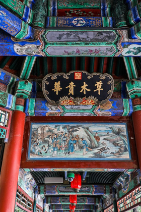 Picture of ASIA-CHINA-BEIJING-CEILING DETAIL AT THE SUMMER PALACE OF EMPRESS CIXI