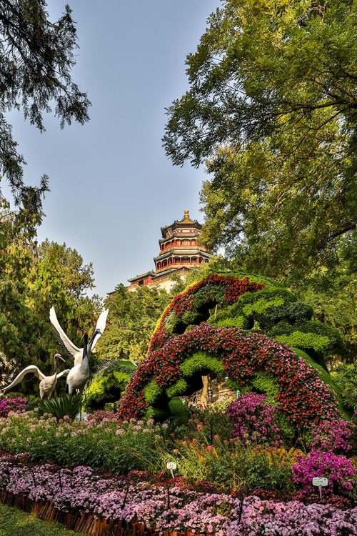 Picture of ASIA-CHINA-BEIJING-SUMMER PALACE OF EMPRESS CIXI