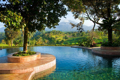 Picture of INDONESIA-JAVA LANDSCAPE WITH POOL AND RICE TERRACES AT RESORT