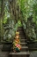 Picture of INDONESIA-BALI-UBUD BALINESE DANCERS AT HINDU TEMPLE (MR)