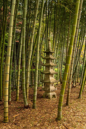 Picture of A TALL PAGODA STATUE IN THE CENTER OF A TALL BAMBOO GROVE-AKEBONOYAMA PARK-JAPAN