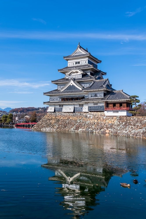 Picture of THE MATSUMOTO CASTLE AS SEEN FROM THE BRIDGE WITH THE CITY BUILDINGS IN THE BACKGROUND-JAPAN