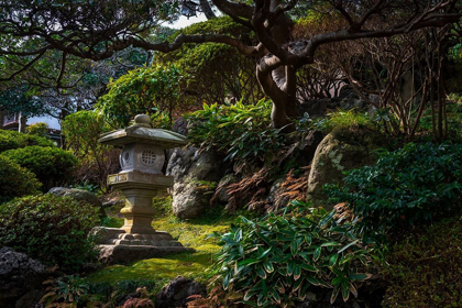 Picture of A PEACEFUL GARDEN WITH PAGODA AND OLD TREE