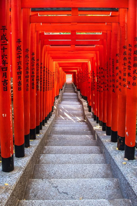 Picture of FAMOUS TORII-OR GATES OF THE ENTRANCE TO THE HIE SHRINE IN TOKYO-JAPAN
