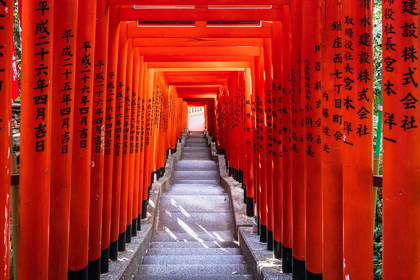 Picture of FAMOUS TORII-OR GATES OF THE ENTRANCE TO THE HIE SHRINE IN TOKYO-JAPAN