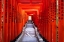 Picture of FAMOUS TORII-OR GATES OF THE ENTRANCE TO THE HIE SHRINE IN TOKYO-JAPAN