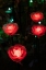 Picture of ILLUMINATED RED ROSES OF THE ASHIKAGA FLOWER PARK-JAPAN-AT NIGHT IN WINTER