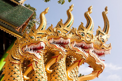 Picture of THAILAND GOLDEN DRAGONS AT A TEMPLE