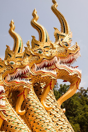 Picture of THAILAND GOLDEN DRAGONS AT A TEMPLE