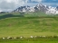 Picture of SUMMER PASTURE WITH TRADITIONAL YURTS THE SUUSAMYR PLAIN-A HIGH VALLEY