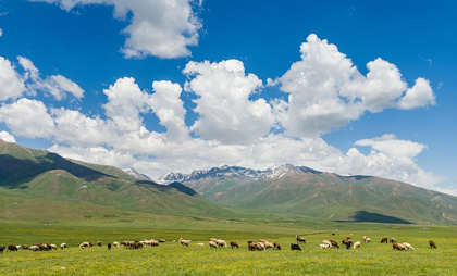 Picture of SUMMER PASTURE WITH TRADITIONAL YURTS THE SUUSAMYR PLAIN