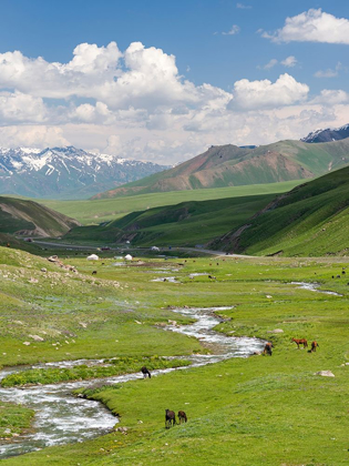 Picture of HORSES ON SUMMER PASTURE THE SUUSAMYR PLAIN-A HIGH VALLEY IN TIEN SHAN MOUNTAINS-KYRGYZSTAN