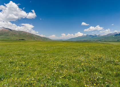 Picture of THE SUUSAMYR PLAIN-A HIGH VALLEY IN TIEN SHAN MOUNTAINS-KYRGYZSTAN