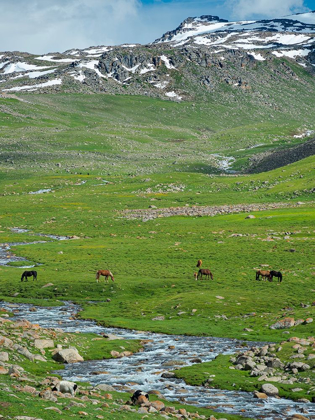 Picture of LANDSCAPE AT THE OTMOK MOUNTAIN PASS IN THE TIEN SHAN OR HEAVENLY MOUNTAINS-KYRGYZSTAN