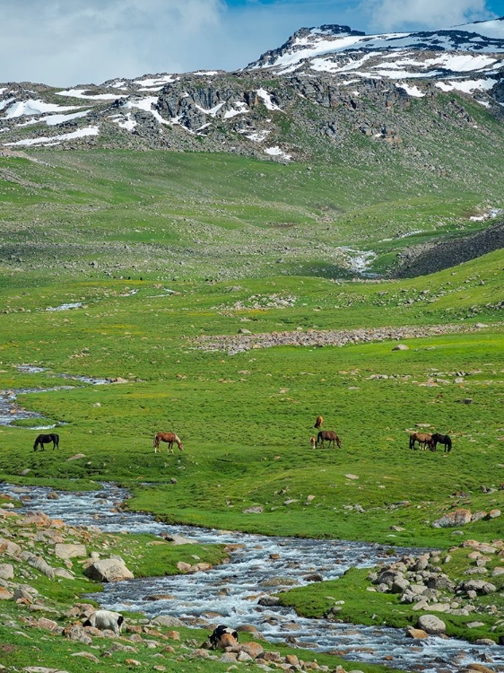 Picture of LANDSCAPE AT THE OTMOK MOUNTAIN PASS IN THE TIEN SHAN OR HEAVENLY MOUNTAINS-KYRGYZSTAN