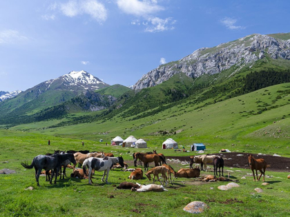Picture of ALPE WITH YURT AND HORSES-THE MARES ARE USED FOR MILKING NATIONAL PARK BESCH TASCH
