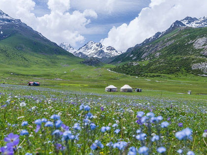 Picture of YURTS ON THE HIGH ALTITUDE SUMMER PASTURES NATIONAL PARK BESCH TASCH