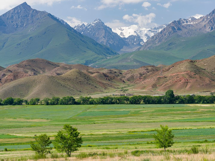 Picture of AGRICULTURE NEAR LAKE ISSYK-KUL 