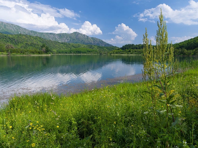 Picture of NATURE RESERVE SARY-CHELEK (SARY-TSCHELEK)-UNESCO WORLD HERITAGE SITE-WESTERN TIEN SHAN