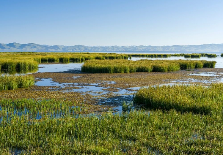 Picture of LANDSCAPE AT LAKE SONG KOL 