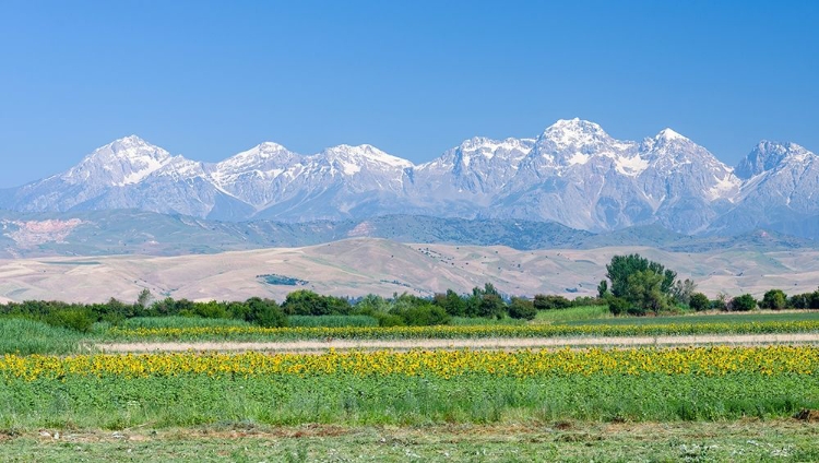 Picture of LANDSCAPE IN THE FOOTHILLS OF THE FERGANA MOUNTAIN RANGE