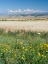 Picture of LANDSCAPE IN THE FOOTHILLS OF THE FERGANA MOUNTAIN RANGE
