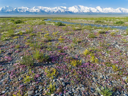 Picture of PEAK PIK LENIN OR KULLAI ABU-ALI IBN SINO AND PIK DSERSCHINSKI ALAY VALLEY 