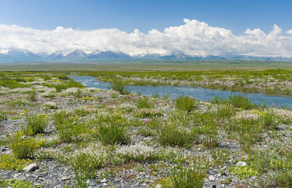 Picture of PEAK PIK LENIN OR KULLAI ABU-ALI IBN SINO AND PIK DSERSCHINSKI ALAY VALLEY 