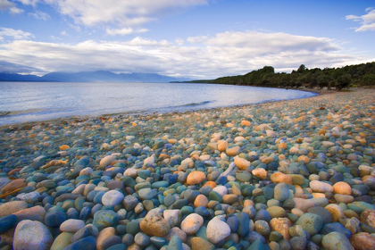 Picture of SOUTH ISLAND ROCKY SHORE OF LAKE TE ANAU