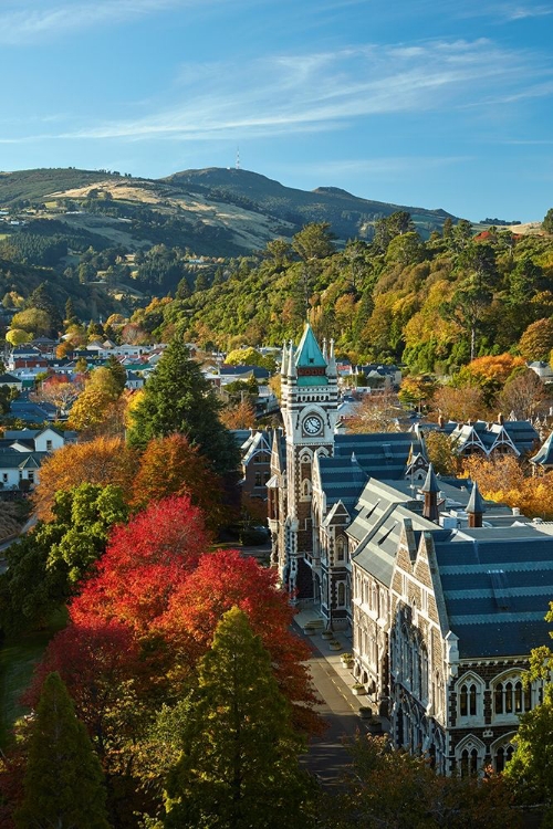 Picture of CLOCK TOWER-REGISTRY BUILDING-UNIVERSITY OF OTAGO IN AUTUMN-DUNEDIN