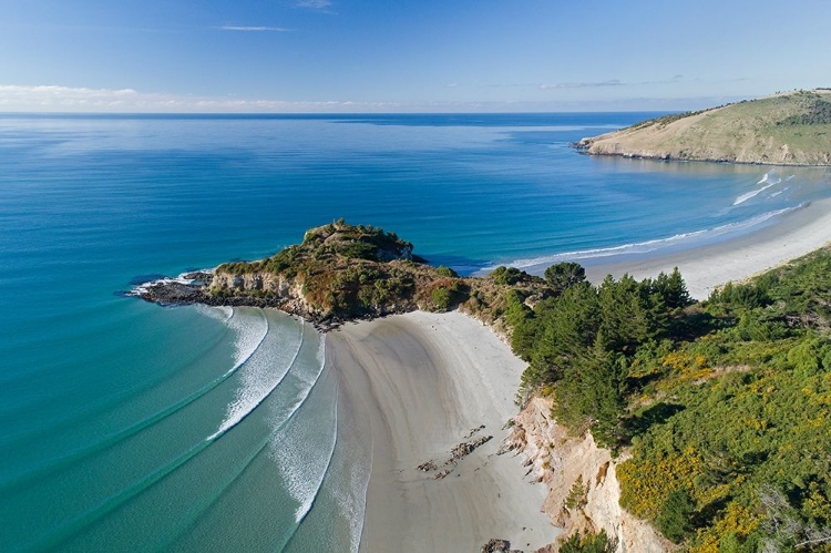 Picture of MAPOUTAHI-HISTORIC MAORI PA SITE-GOAT ISLAND-PURAKANUI BAY-NORTH OF DUNEDIN