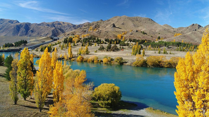 Picture of LAKE AVIEMORE-AUTUMN COLOR-AND CAMP GROUND-WAITAKI VALLEY-NORTH OTAGO