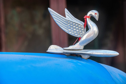 Picture of DETAIL OF SWAN HOOD ORNAMENT USUALLY FOUND ON CLASSIC AMERICAN PACKARD HAVANA-CUBA
