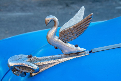 Picture of CLOSE-UP A SWAN HOOD ORNAMENT ON A CLASSIC BLUE AMERICAN CAR IN VIEJA-OLD HABANA-HAVANA-CUBA