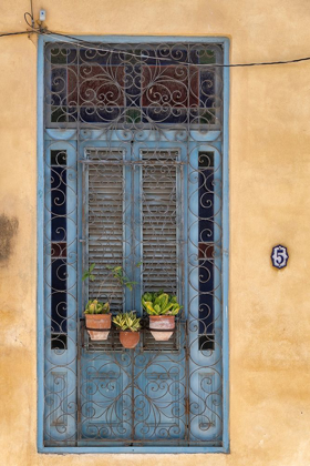 Picture of FLOWER POTS SIT IN WROUGHT IRON GATE IN FRONT OF BLUE DOOR IN OLD HAVANA; LA HABANA VIEJA-CUBA