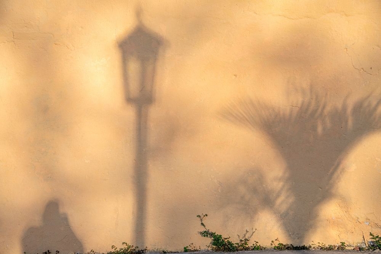 Picture of EARLY MORNING SHADOW OF A MAN AND LAMPPOST AND PLANT ON HOUSE WALL IN TRINIDAD-CUBA