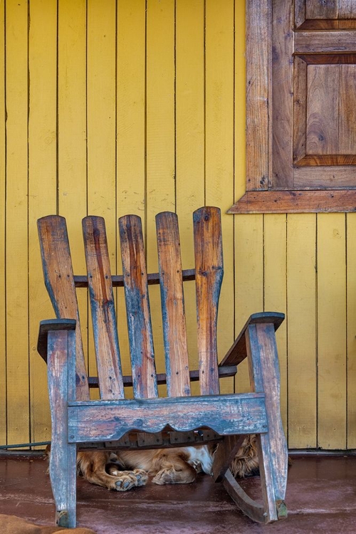 Picture of A DOG SLEEPS UNDER A WEATHERED ADIRONDACK ROCKING CHAIR IN VINALES-CUBA,