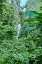 Picture of CARIBBEAN-WEST INDIES-DOMINICA ISLAND ONE OF DOMINICAS MOST POPULAR NATURAL ATTRACTIONS