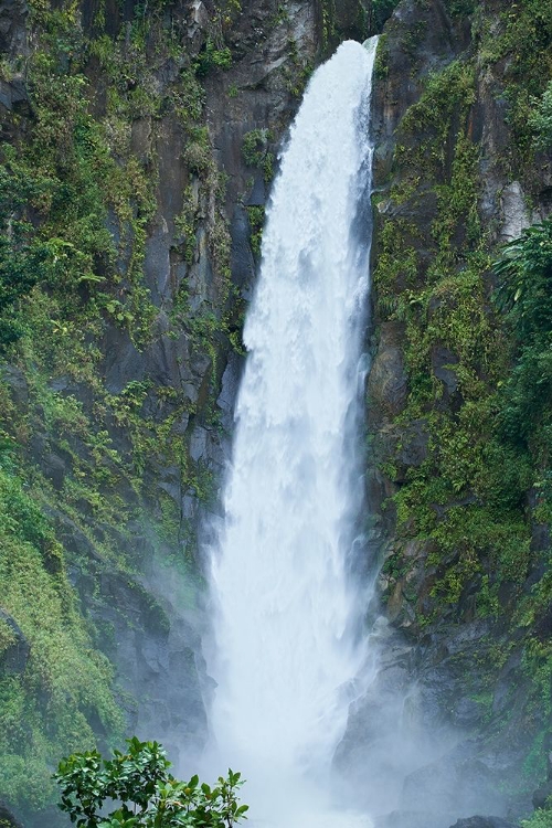 Picture of CARIBBEAN-WEST INDIES-DOMINICA ISLAND ONE OF DOMINICAS MOST POPULAR NATURAL ATTRACTIONS