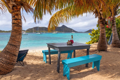 Picture of CARIBBEAN-GRENADA-SANDY ISLAND PICNIC TABLE AND HAMMOCK ON BEACH