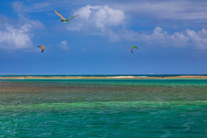 Picture of CARIBBEAN-GRENADA-UNION ISLAND SURF KITES AND PELICAN FLYING OVER OCEAN