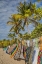 Picture of CARIBBEAN-GRENADA-MAYREAU ISLAND VENDORS COLORFUL DISPLAY