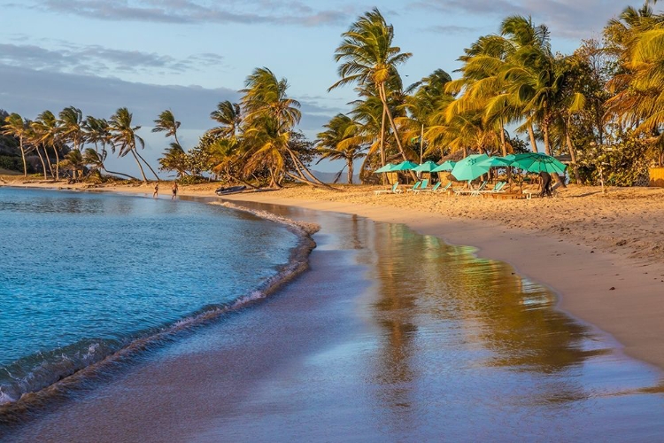 Picture of CARIBBEAN-GRENADA-MAYREAU ISLAND BEACH UMBRELLAS AND LOUNGE CHAIRS