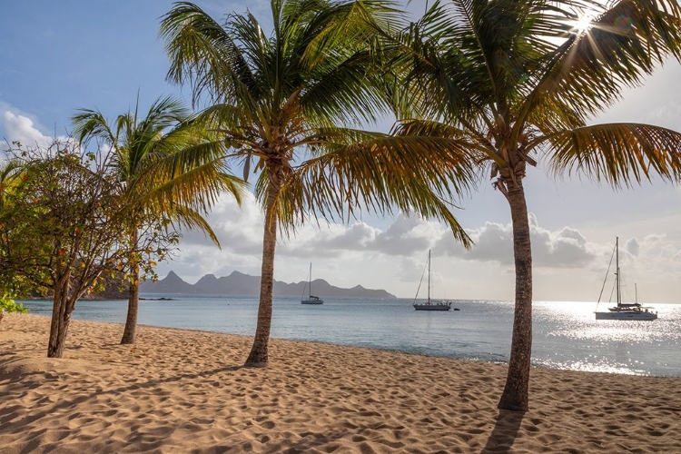 Picture of CARIBBEAN-GRENADA-MAYREAU ISLAND SAILBOATS AT ANCHOR OFF BEACH