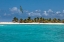 Picture of CARIBBEAN-GRENADA-SANDY ISLAND PELICAN FLIES OVER OCEAN SHORE