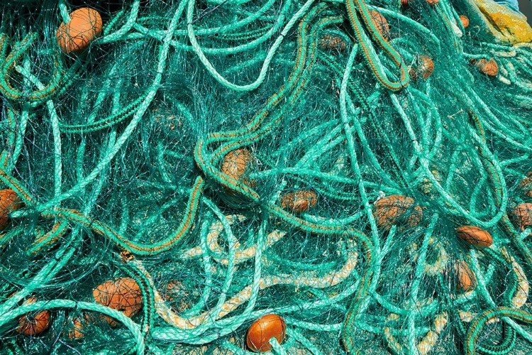 Picture of GUADELOUPE MARIE-GALANTE ISLAND-PART OF FRANCE FISHNETS AT THE MARINA IN THE TOWN