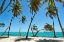Picture of FRENCH WEST INDIES-GUADELOUPE MARIE-GALANTE ISLAND-PART OF FRANCE BEACH AT CAPESTERRE 