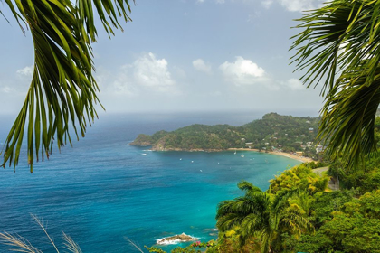 Picture of CARIBBEAN-TOBAGO CASTARA BAY OCEAN BEACH AND JUNGLE LANDSCAPE 